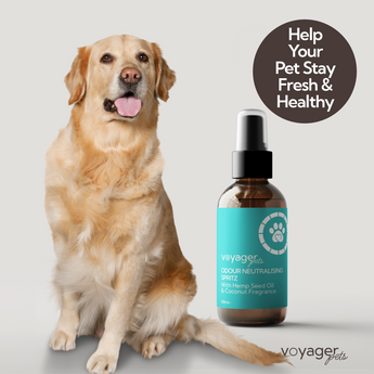 Pet Grooming & Care