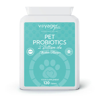 VoyagerPets Pet Probiotics food supplement white jar with a green label on a white background