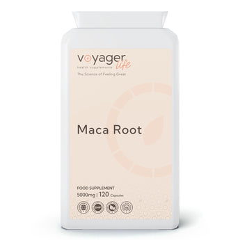 Voyager Maca Root supplement packaging on a white background