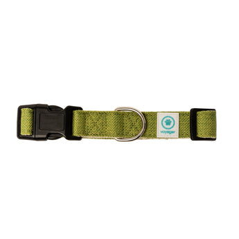 Green dog collar with a black buckle on a white background