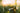 Sunny meadow with daisies and flowers background